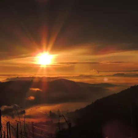 Alojamento de Acomodação e Pequeno-almoço Weingut Albert, Familie Cramer 3*