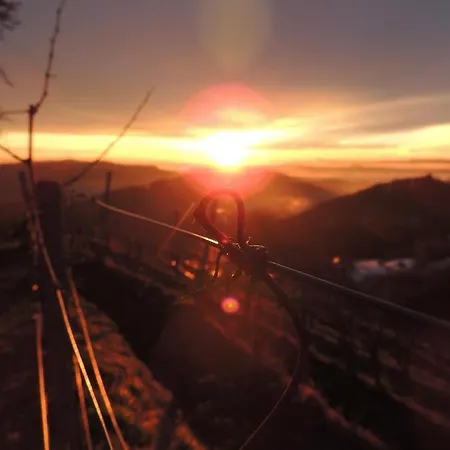 Weingut Albert, Familie Cramer Bed & Breakfast 3*