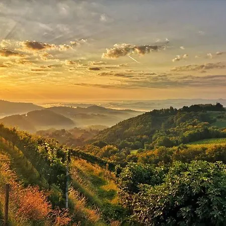 Weingut Albert, Familie Cramer Bed and breakfast