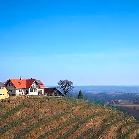 Weingut Albert, Familie Cramer ベッド・アンド・ブレックファスト キツェック・イム・ザウザル