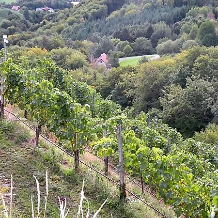 Weingut Albert, Familie Cramer ベッド・アンド・ブレックファスト 3*