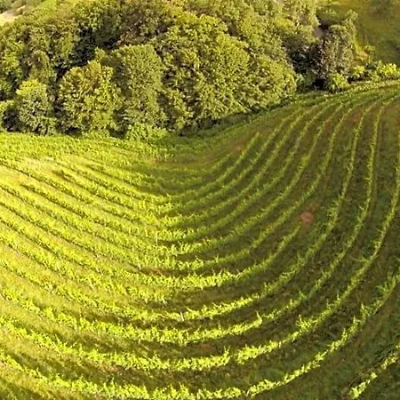 Weingut Albert, Familie Cramer ベッド・アンド・ブレックファスト 3*