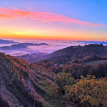 Weingut Albert, Familie Cramer ベッド・アンド・ブレックファスト