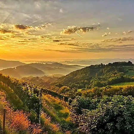 Weingut Albert, Familie Cramer キツェック・イム・ザウザル