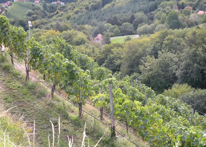 Frühstückspension Weingut Albert, Familie Cramer
