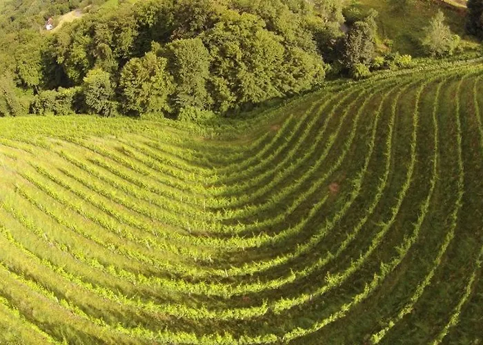 Weingut Albert, Familie Cramer 3* Kitzeck im Sausal