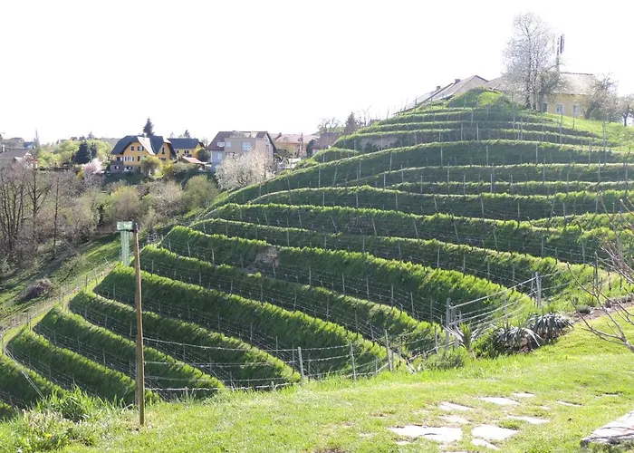 Oda ve Kahvaltı Weingut Albert, Familie Cramer Kitzeck im Sausal